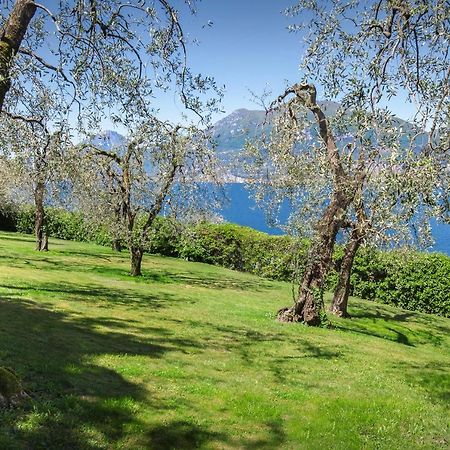 Villa Dismero-Un Oasi Di Lusso E Privacy Brenzone sul Garda Εξωτερικό φωτογραφία